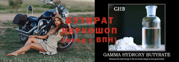 шишки Ельня