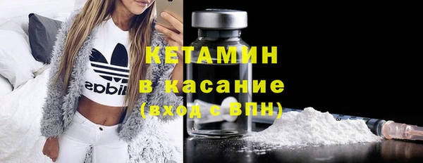 шишки Ельня