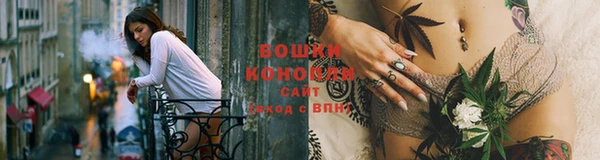 шишки Ельня