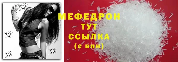 шишки Ельня