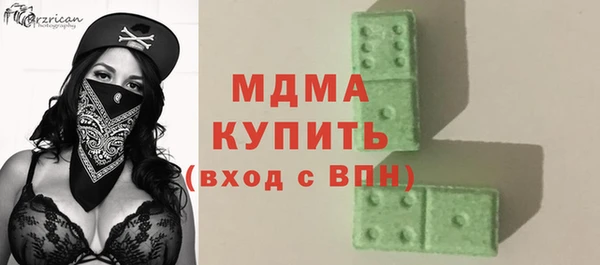 шишки Ельня