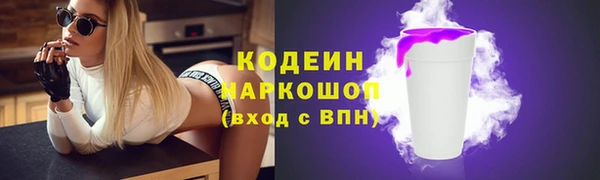 шишки Ельня