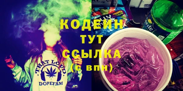 шишки Ельня