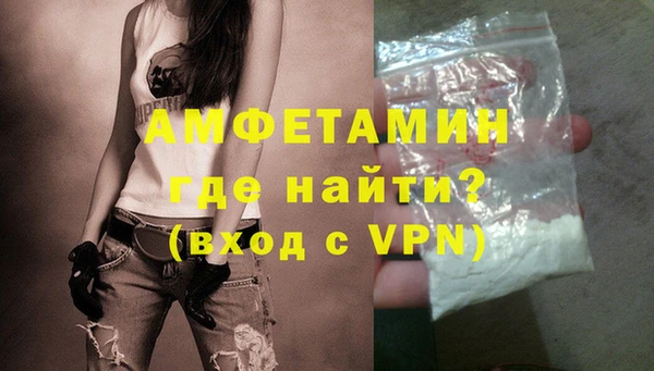 шишки Ельня