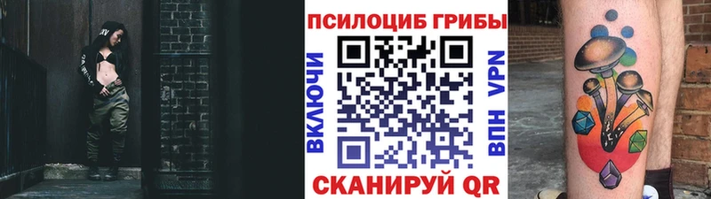 Псилоцибиновые грибы GOLDEN TEACHER  Сланцы 
