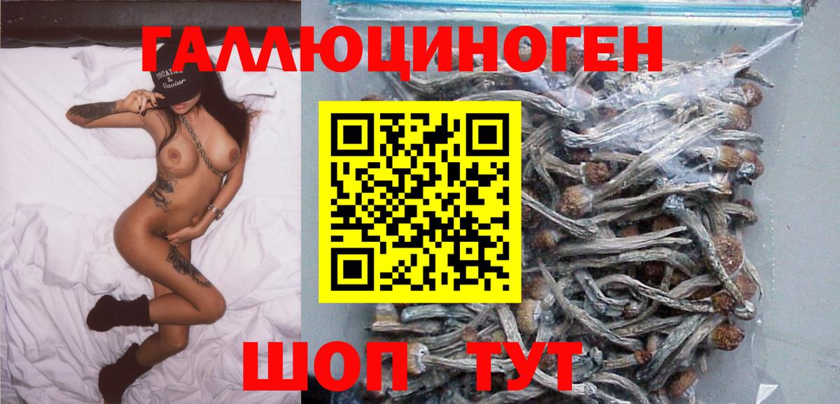 Галлюциногенные грибы Psilocybe  где найти наркотики  Сланцы  Вход с VPN 