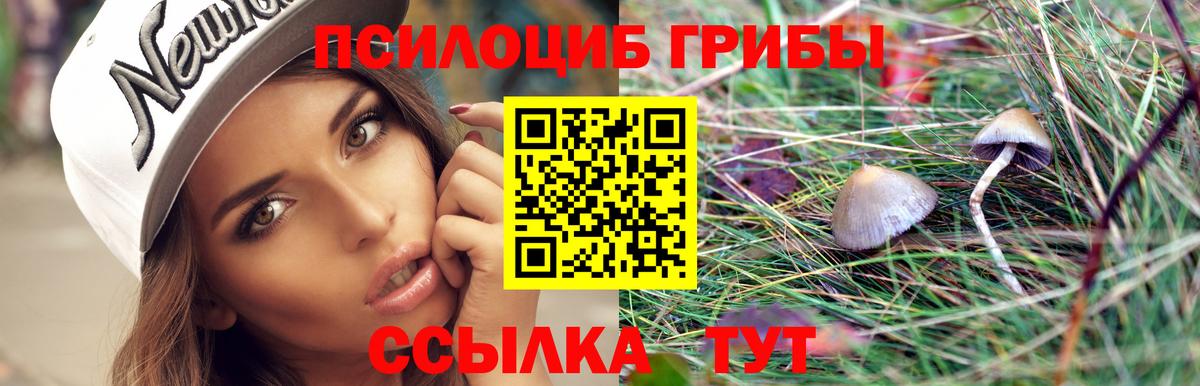 Псилоцибиновые грибы Psilocybine cubensis Сланцы